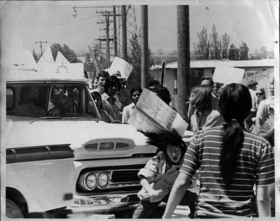 (3639) Demonstration, injuries, San Jose, California (3639) Demonstration, injuries, San Jose, California